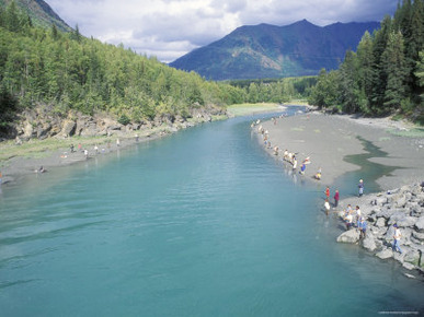 Fishing for Salmon on Bird Creek, Alaska